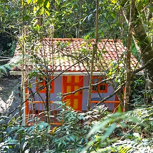 https://encanto-minicasitas-en-medio-de-la-naturaleza.colombiamedellinhotels.com